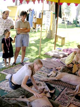 Visitors