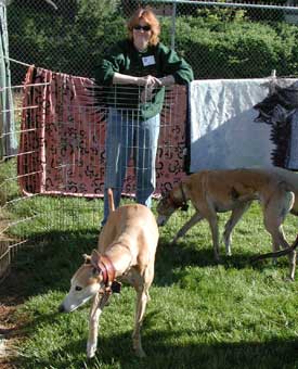 Carol and hounds