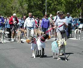 Parade