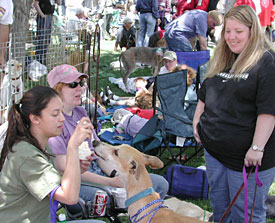 Sam, Carol, Lauren, and Brave