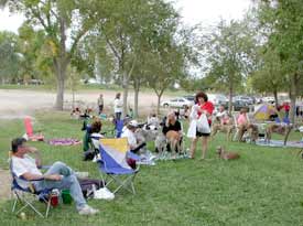 Picnic