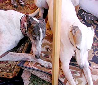 Duncan and Ghost