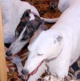 Duncan and Ghost